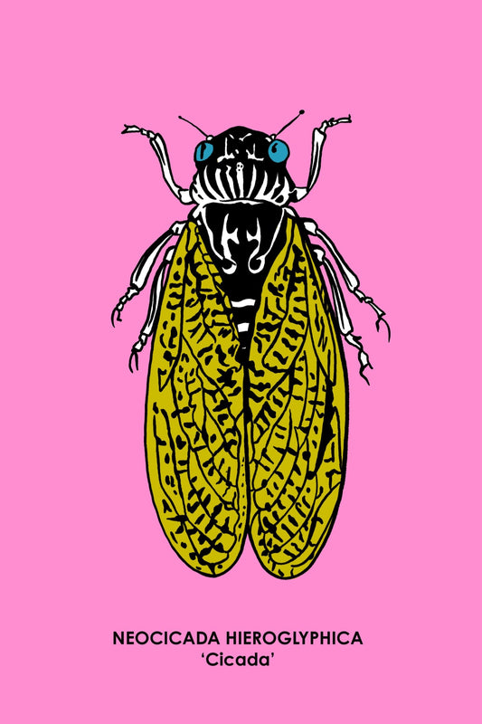 CICADA