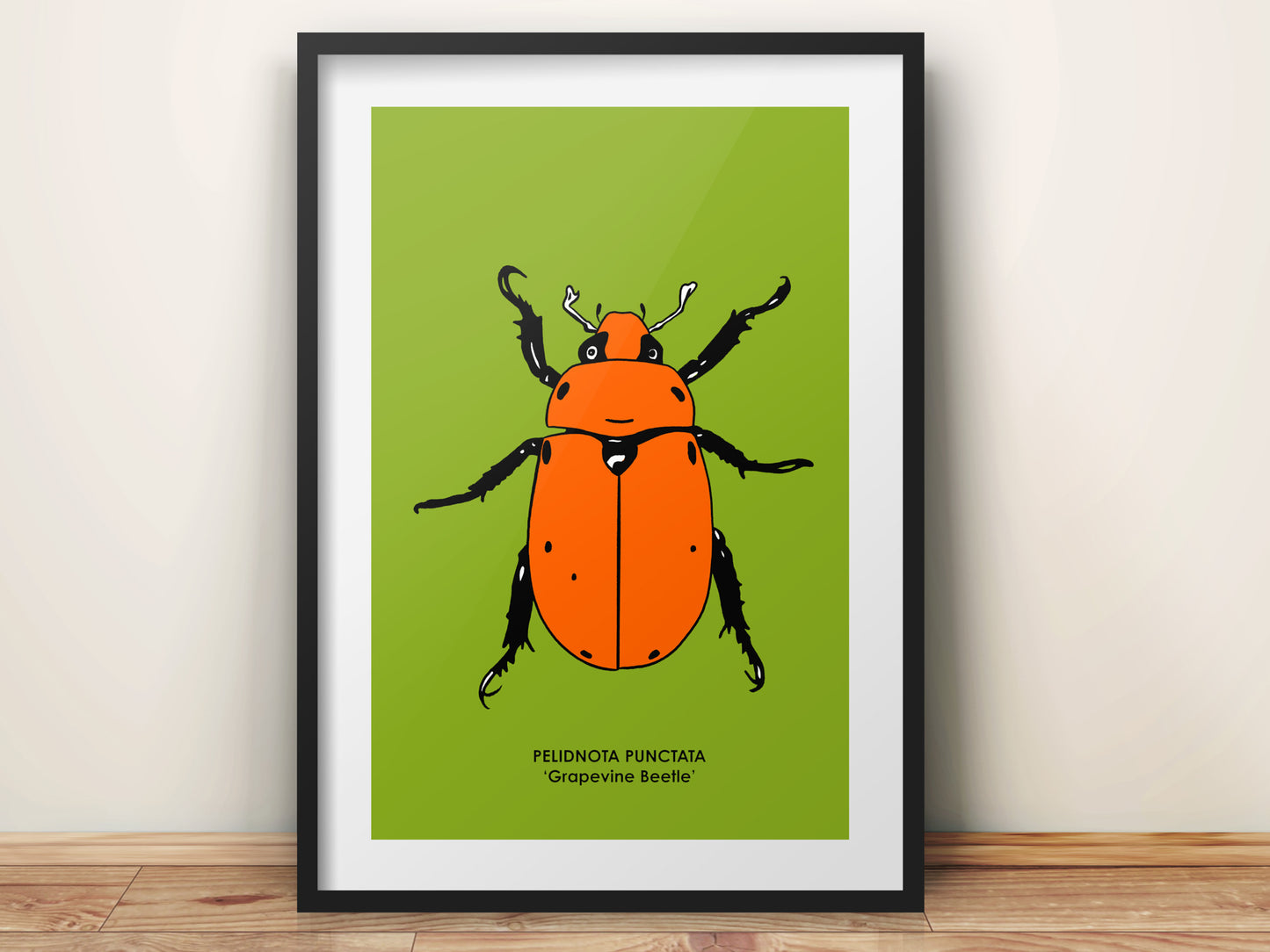 GRAPEVINE BEETLE